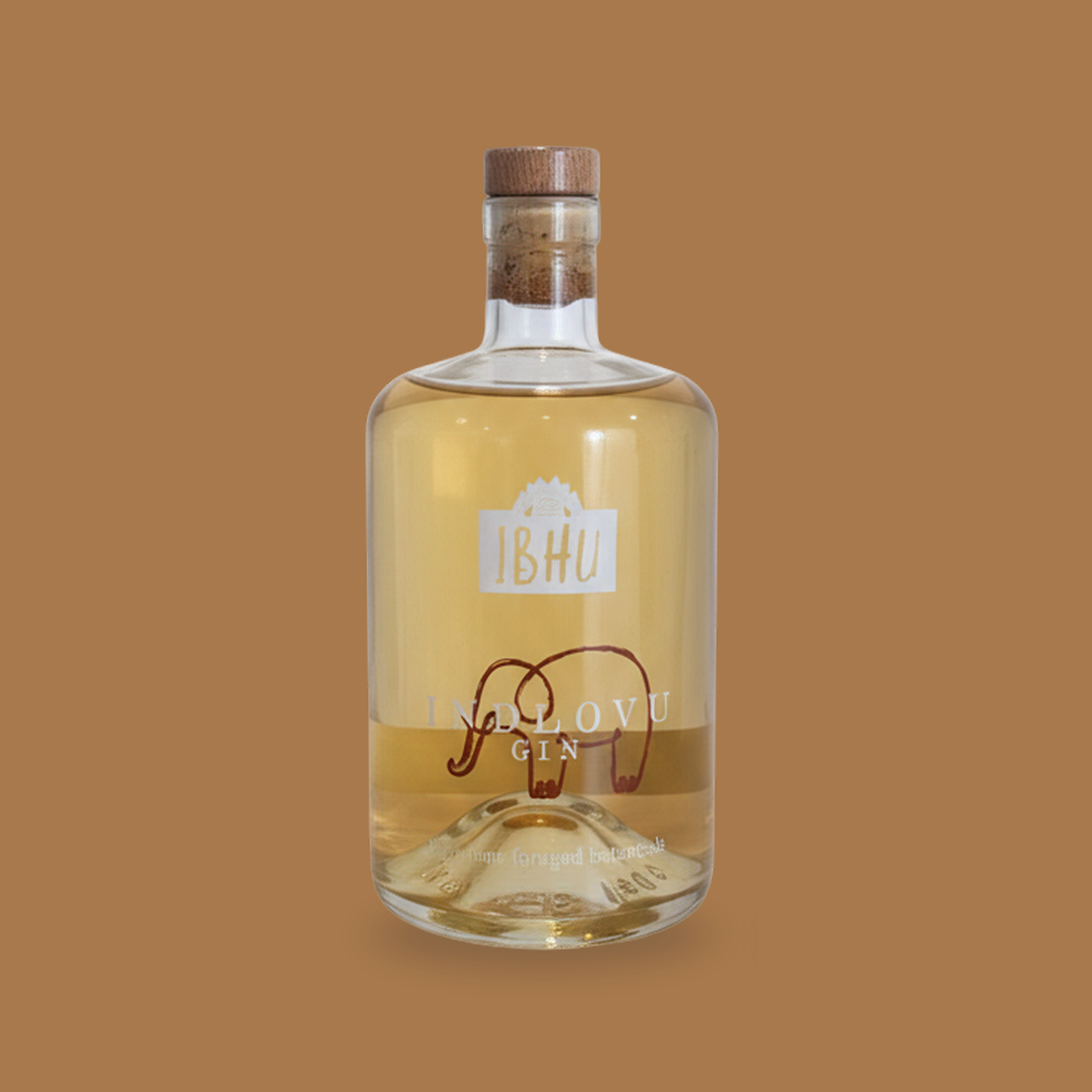 Image de diapositive